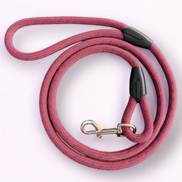 Laisse Dragon Fruit - LuckyLesse