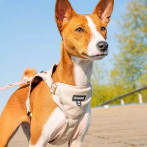 harnais mesh dune savage