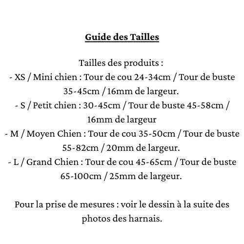 Guide des Tailles