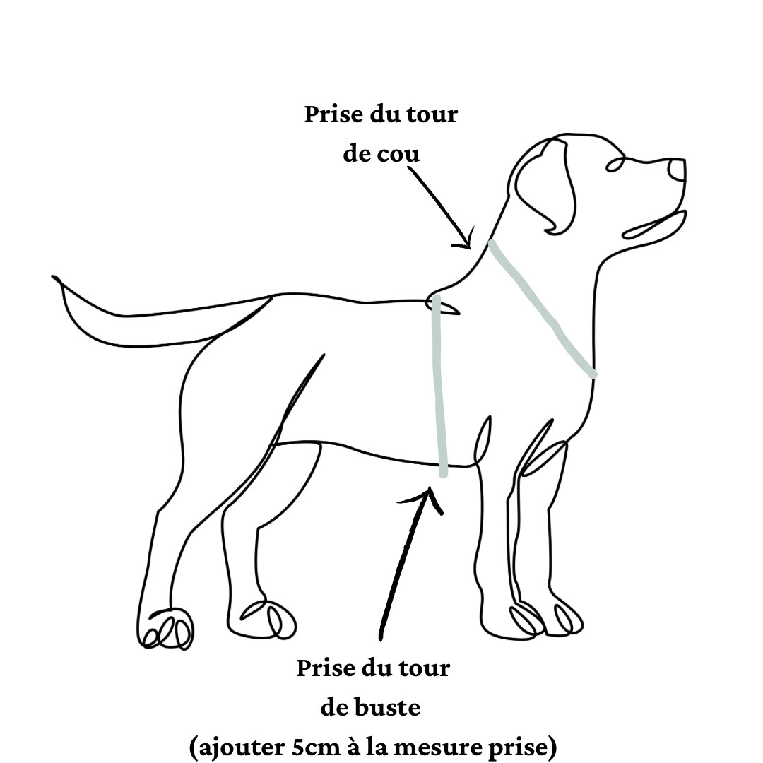 Prise_de_mesure_harnais