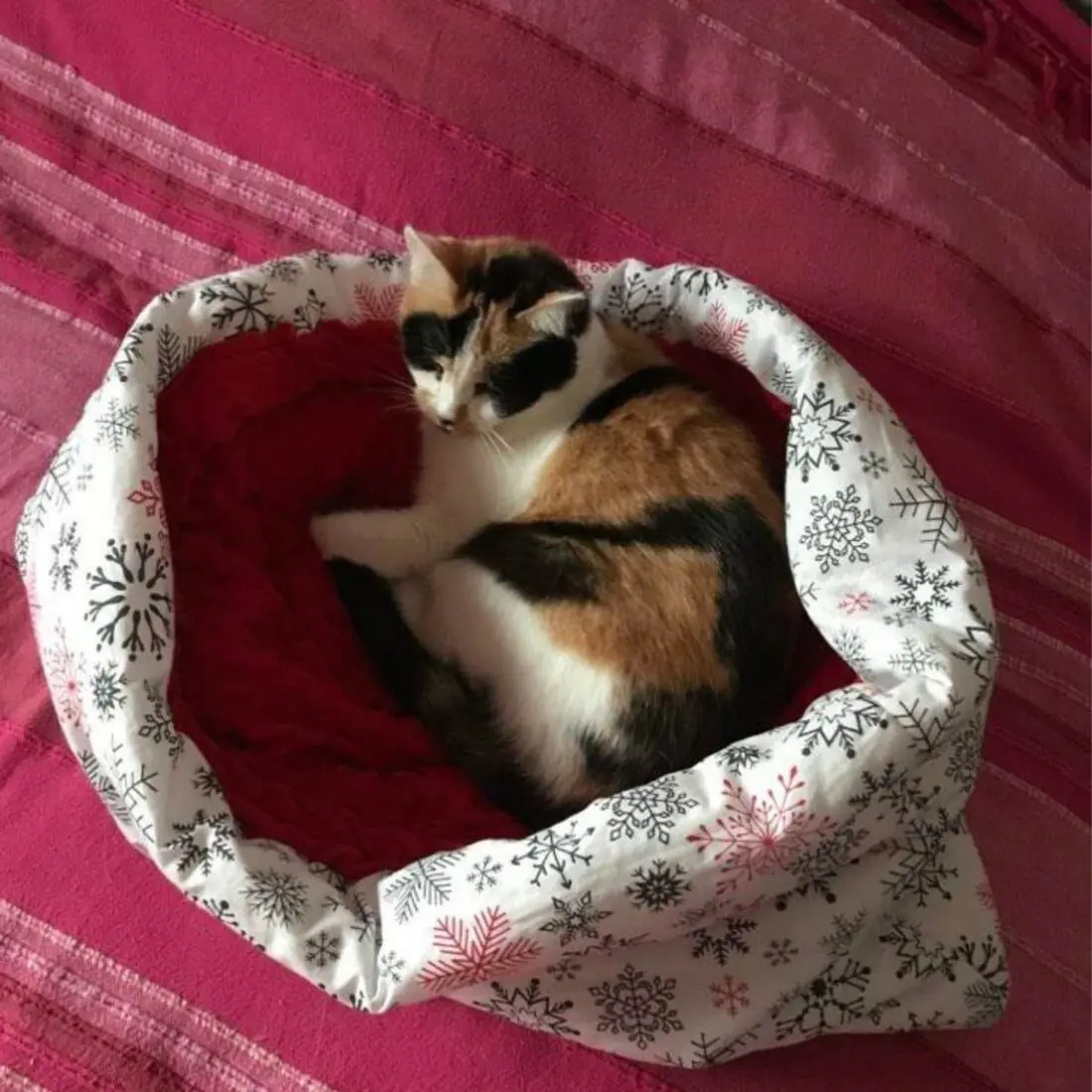 Pochette à poser chat