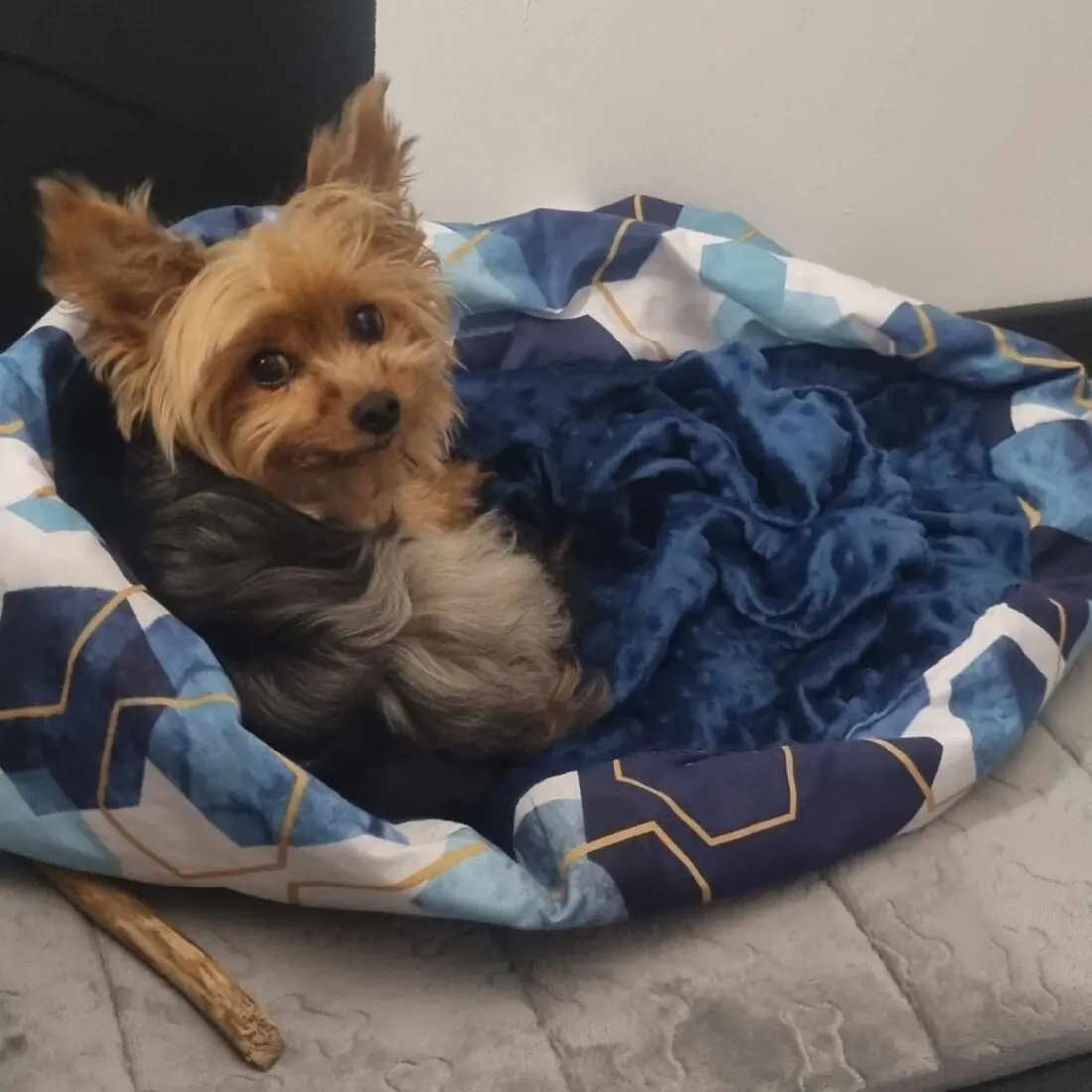 Pochette à poser york